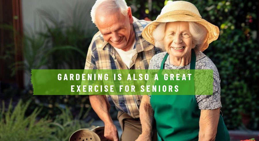 Gardening is Great Exercise for Seniors