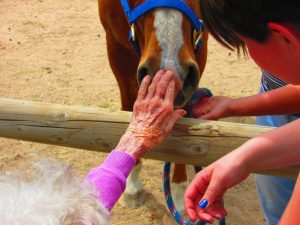 Pet therapy for residents at Applewood