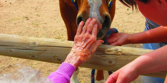 Pet therapy for residents at Applewood