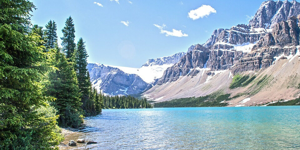 Fight Global Warming