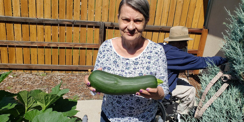 Gardening at Applewood Our House Gardening at Applewood Our House