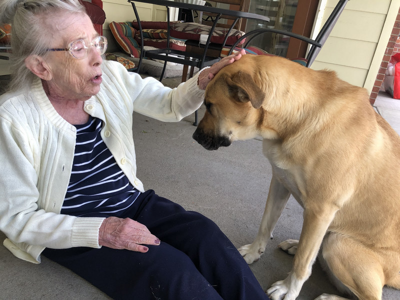 Pet Therapy as a part of memory care activities