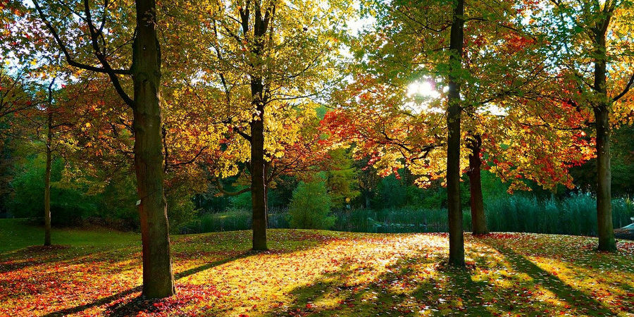 Fall Activities for Seniors with Dementia 2 Fall Activities for Seniors with Dementia 2