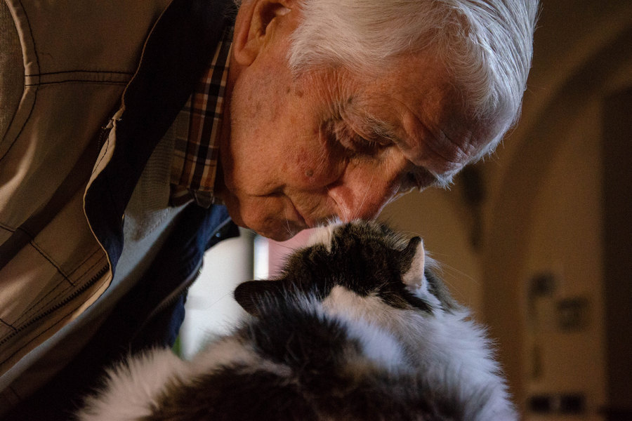 Pet Therapy for People with Dementia