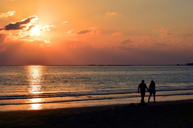 How to Keep a Healthy Immune System