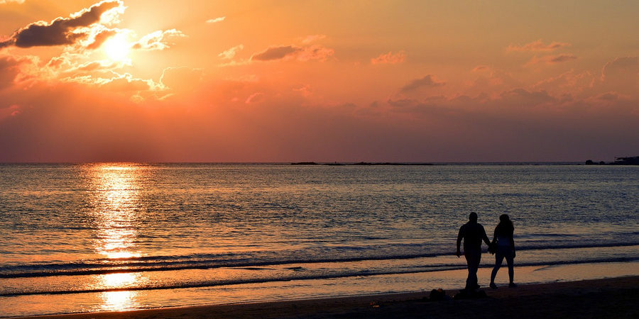 How to Keep a Healthy Immune System