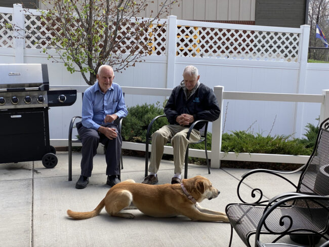 Animal Rescue in Memory Care