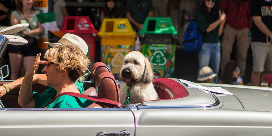 Traveling with a Loved One with Dementia