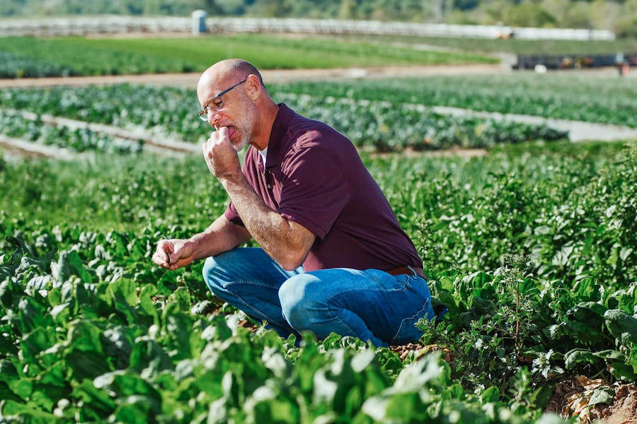 Seniors with Peculiar Eating Habits Might Show Signs of FrontoTemporal Dementia