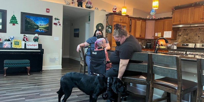 dogs help seniors with dementia
