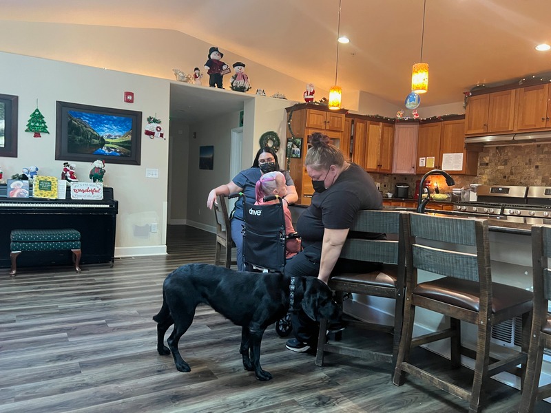 dogs help seniors with dementia dogs help seniors with dementia