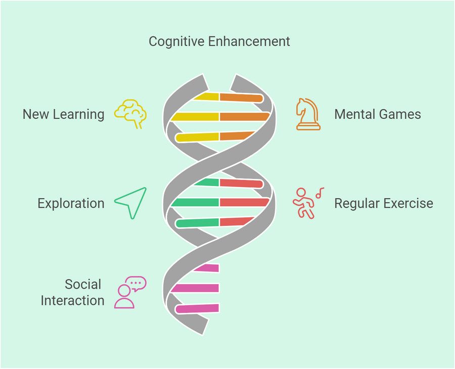 Cognitive Enhancement - Ways to Keep Your Brain Healthy