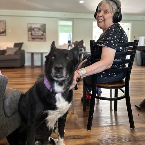 Diamond-Golden-House-0326a