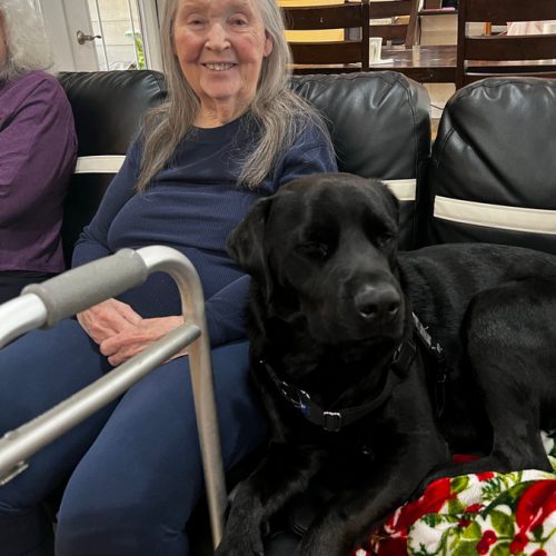 Toby is a Resident's Best Friend at Golden, Colorado